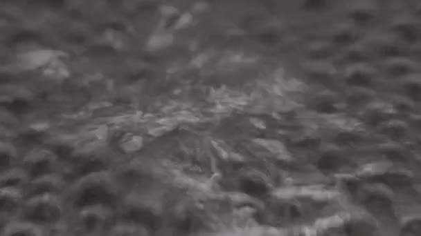 Bubblor av vatten kokning och avdunstning i en svart stekpanna. Närbild — Stockvideo