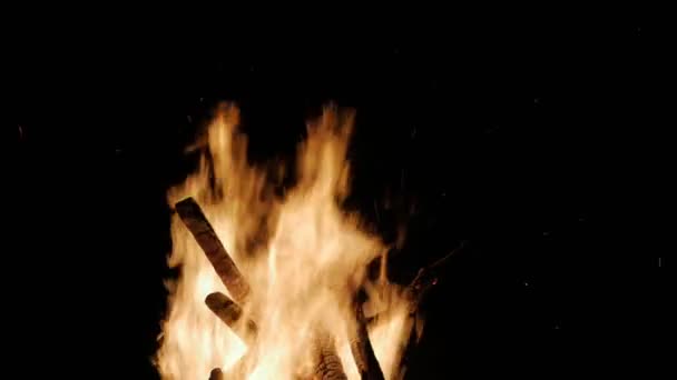 Großes Lagerfeuer der Zweige brennt nachts — Stockvideo