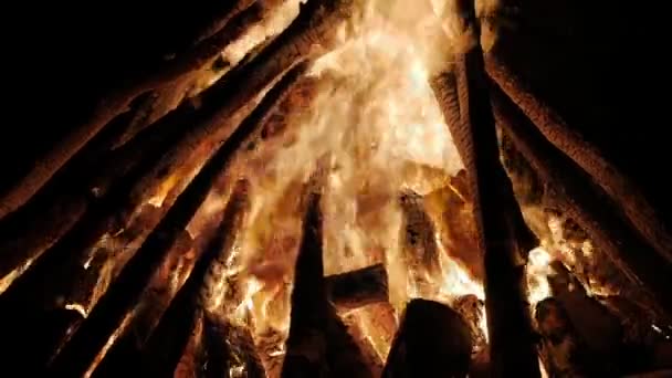 Queimar troncos em chamas alaranjadas de perto. Chamas vermelhas a rebentar — Vídeo de Stock