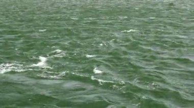 Dalgalı göl yüzeyi gün ışığında çekim kapatın.
