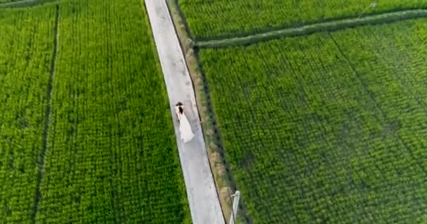 Aerial top girato giovane coppia in sella a una moto tra le risaie. La ragazza è vestita con un lungo vestito bianco, svolazzante nel vento. 4K — Video Stock