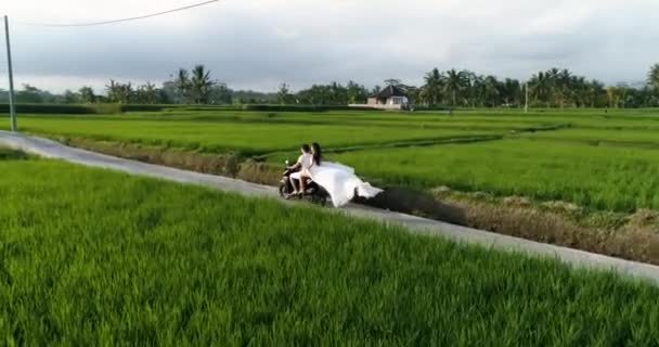 Aerial top tiro jovem casal montando uma motocicleta entre os campos de arroz. A menina está vestida com um longo vestido branco, balançando ao vento. 4K — Vídeo de Stock