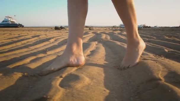 Boldog nő a kilencedik hónapban a terhesség séta homok strand apály naplemente — Stock videók