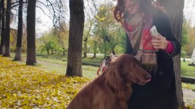 Neşeli kız sonbahar parkta köpek ayarlayıcı ile akıllı telefonda selfie yapar