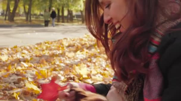 Jonge aantrekkelijke vrouw wandelen met hond in herfst Park — Stockvideo