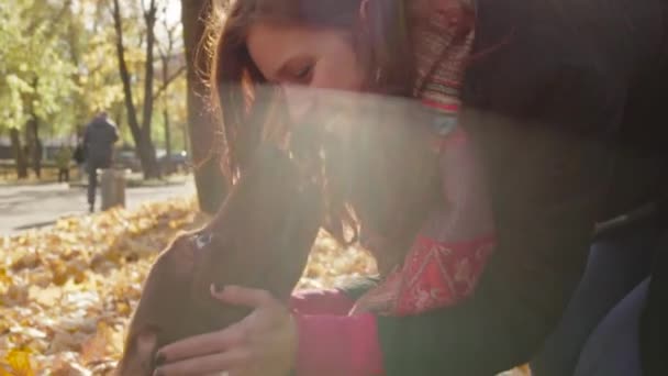 Молодая привлекательная женщина гуляет с собакой в осеннем парке — стоковое видео