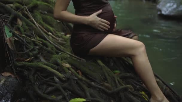 Schöne schwangere Frau in einem dunkelbraunen Kleid genießen die Natur im tropischen Dschungel Fluss. Zeitlupe. — Stockvideo