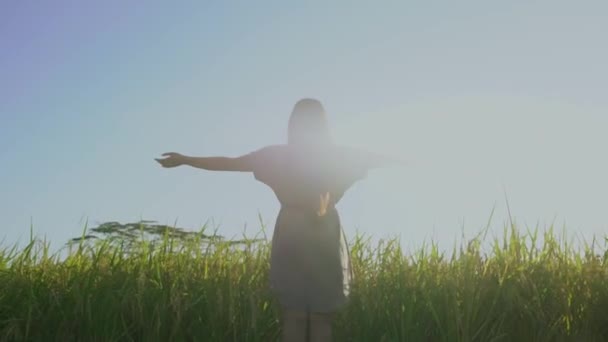 Jeune fille asiatique cheveux longs robe décontractée stand avec les mains levées dans le champ de riz au coucher du soleil. Plan à angle bas, vue arrière . — Video