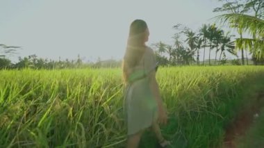 Çekici genç asyalı kız uzun saçlı rahat elbise gün batımında pirinç alanında yürüyüş.