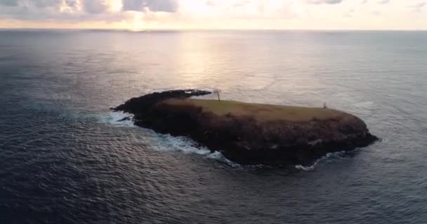 Tek bir ağaç ve doğal deniz suyu çeşmesi ile güzellik tropikal adada küçük benzersiz havadan görüntüleri. 4k — Stok video