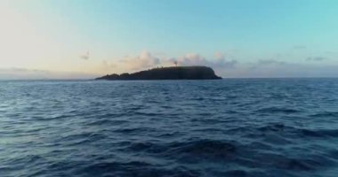 Tek bir ağaç ile güzellik tropikal adada benzersiz havadan uzun çekim. 4k