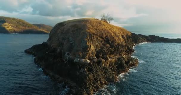 Images aériennes d'une île tropicale unique en beauté comme une forme de poisson baleine géant. 4K — Video