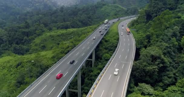 Luchtfoto van twee snelwegen met tegemoetkomend verkeer tussen het groene bos 4k — Stockvideo