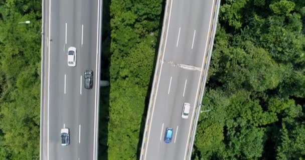 Flygbild över två motorvägar med mötande trafik bland den gröna skogen 4K — Stockvideo