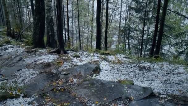 Χαλάζι Μπάλες Που Καλύπτει Έδαφος Βροχή Απόηχο Χαλαζοθύελλα Κακές Καιρικές — Αρχείο Βίντεο