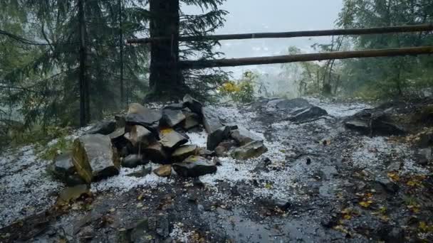 Tempesta Grandine Una Foresta Montagna Disastro Naturale Temporale — Video Stock