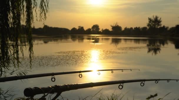 Ψάρεμα στη λίμνη το ηλιοβασίλεμα, καλάμια ψαρέματος που περιμένουν για αλίευση, καλοκαιρινές δραστηριότητες — Αρχείο Βίντεο