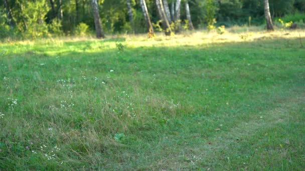 Femme obèse marchant à vélo, incapable de monter, problèmes de santé, perte de poids — Video