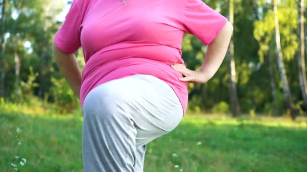 Femme en surpoids faisant de l'exercice de jambe dans le parc, essayant de perdre du poids, brûler les graisses — Video