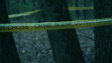 Yellow crime scene tape in dark forest, crime investigation, evidence search