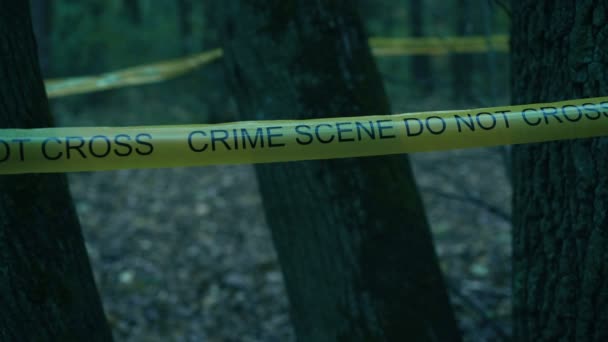 Yellow crime scene tape in dark forest, crime investigation, evidence search — Stok video