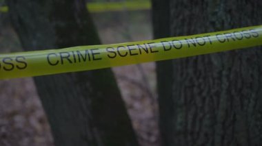 Yellow crime scene tape in the woods, murder investigation, evidence search