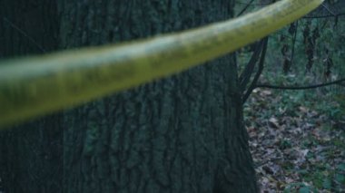 Yellow police crime scene tape in the woods, murder investigation, homicide site