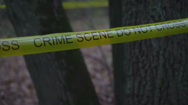 Geel misdaadplakband in het bos, moordonderzoek, bewijzenonderzoek — Stockvideo