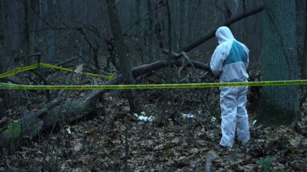 Forensic expert working at crime scene in forest, inputting data on tablet — Stock Video