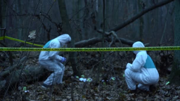 Forensische experts in beschermende pakken werken bij Crime Scene, verzamelen bewijs — Stockvideo