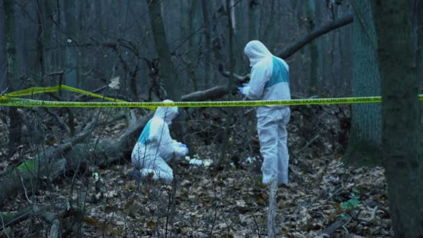 Dos expertos forenses en equipo de protección trabajando en la escena del crimen en el bosque — Vídeos de Stock