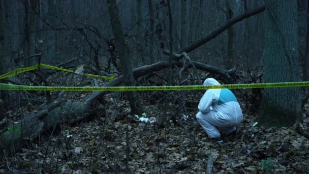 Сцена злочину, експерт-криміналіст, який працює на місці вбивства, збирає докази — стокове відео