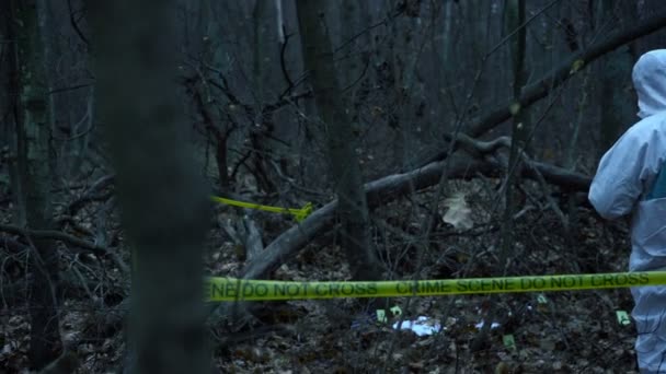 Хтось спостерігає за експертом-криміналістом на місці злочину в лісі, небезпеки, затримання — стокове відео