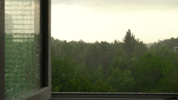 Venku prší, výhled z otevřeného okna, mírumilovný den, letní lijáku — Stock video