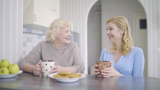 Szczęśliwa matka i córka rozmawiają w domu, odwiedzają rodziców, razem — Wideo stockowe