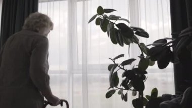 Üzgün yaşlı bayan pencereden bakıyor, yürüyen bir çerçeveyle duruyor, yalnızlık.