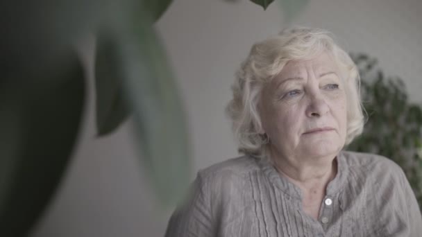 Zaklatott idős nő szenved magány, eltűnt család, elhagyott idős korban — Stock videók
