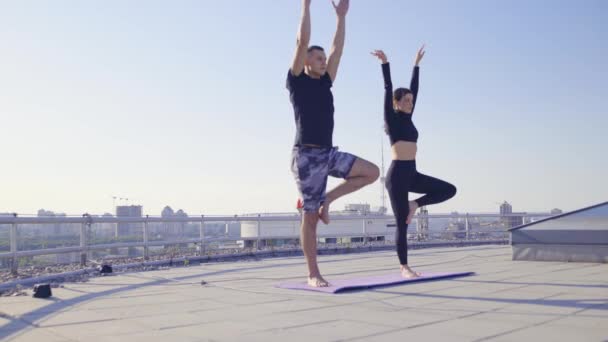 Joven hombre y mujer practicando la pose de árbol en la azotea, pasando tiempo juntos — Vídeos de Stock