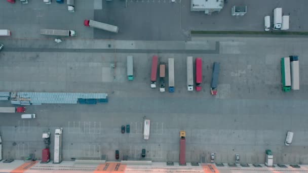 Veel vrachtwagens krijgen geladen met vracht in het magazijn, goederen levering diensten — Stockvideo