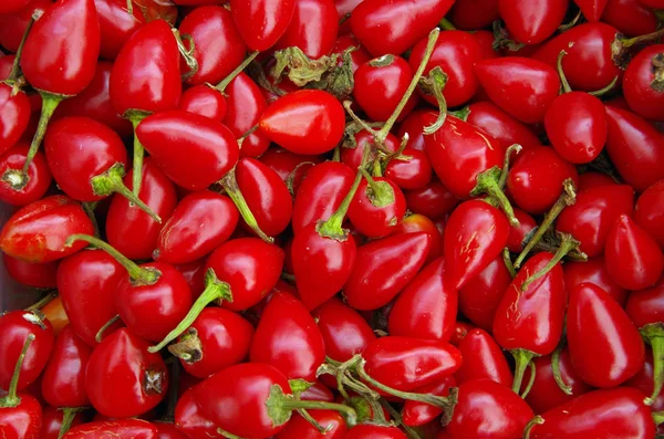 Cascabel Φωτεινές Κόκκινες Πιπεριές Τσίλι Closeup Θέα Από Ψηλά — Φωτογραφία Αρχείου