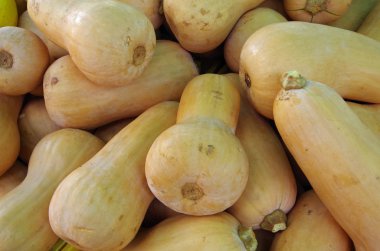 Balkabagi için Pazar Kazıklı