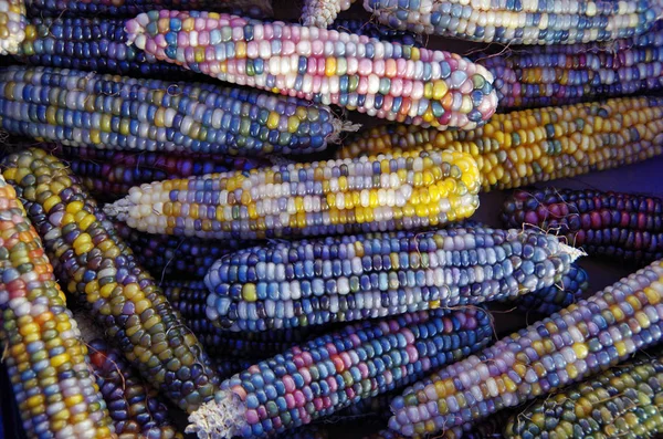 Mısır kabuğu renkli yığını