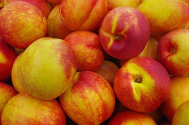 Parlak sarı ve turuncu nektarin pazarı için görüntülenen