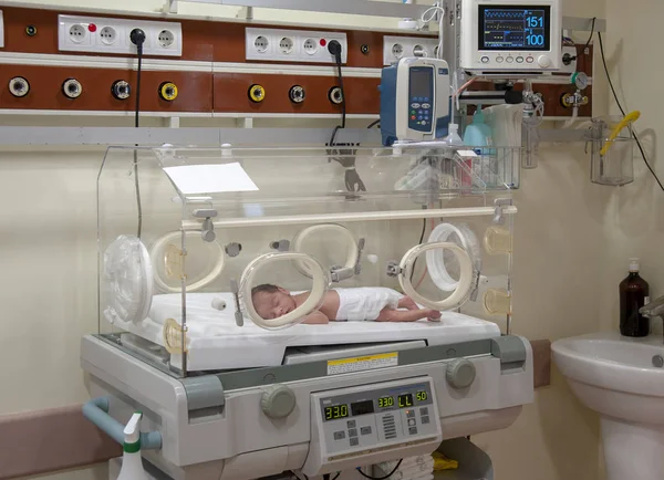 Bebé Que Vive Cub Prematuros —  Fotos de Stock