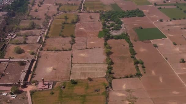 Zemědělská Pole Během Léta Indii Letecké Drone Záběry — Stock video