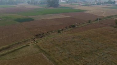 Hindistan güzel tarım arazileri, 4k hava aracı görüntüleri.