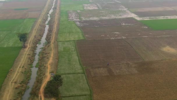 Inde beaux champs agricoles pittoresques, 4k images aériennes de drone