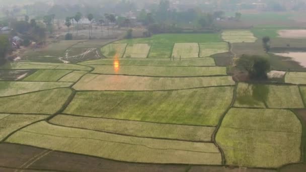 India Picturesque Beautiful Agricultural Fields Aerial Drone Footage — Stock Video