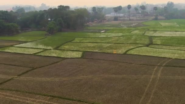 India Pittoreske Mooie Landbouwvelden Luchtfoto Drone Beelden — Stockvideo