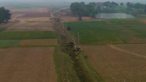 India Pitoresc Frumoase Terenuri Agricole Imagini Drone Aeriene — Videoclip de stoc